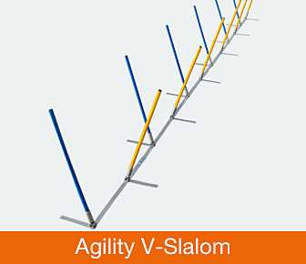 Agility V-Slalom