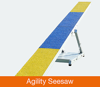 Agility-Wippe