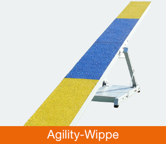 Agility-Wippe