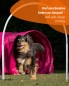 Preview: Hoops aus Kunststoff in 5 Farben