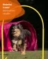 Preview: Hoops XL 120 cm high, for large dogs