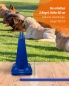 Preview: Cone hurdle 40 cm