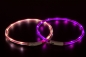 Preview: Visio Light LED Schlauchhalsband