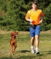 Preview: Doggy-Jogger