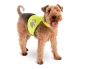 Preview: Safety vest for night walks