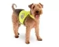 Preview: Safety vest for night walks