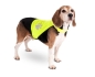 Preview: Safety vest for night walks