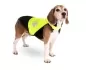 Preview: Safety vest for night walks