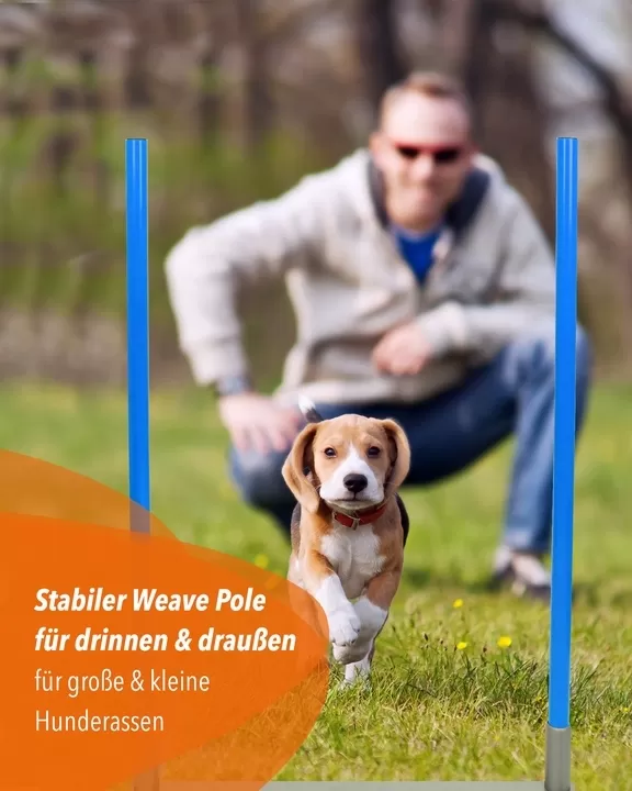 2by2 Weave Poles, Agility-Slalom-Basis-Set