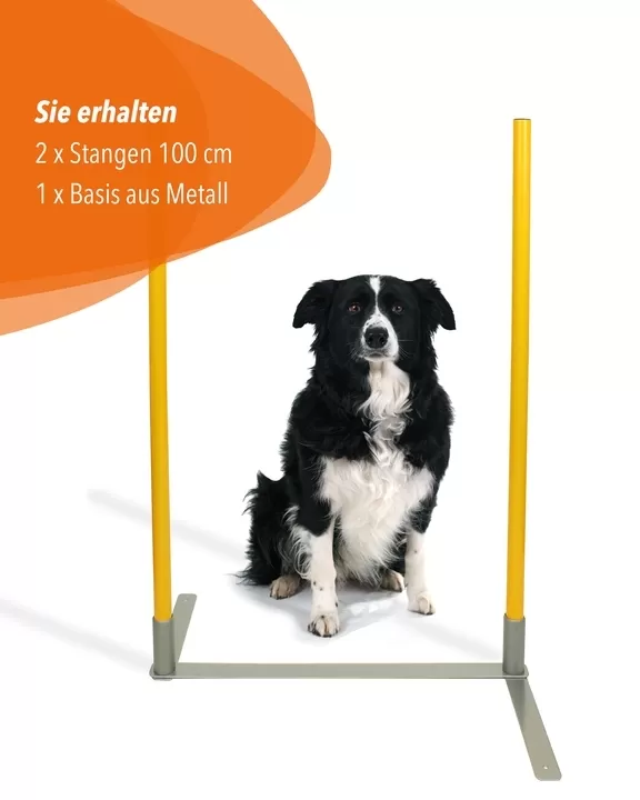 2by2 Weave Poles, Agility-Slalom-Basis-Set