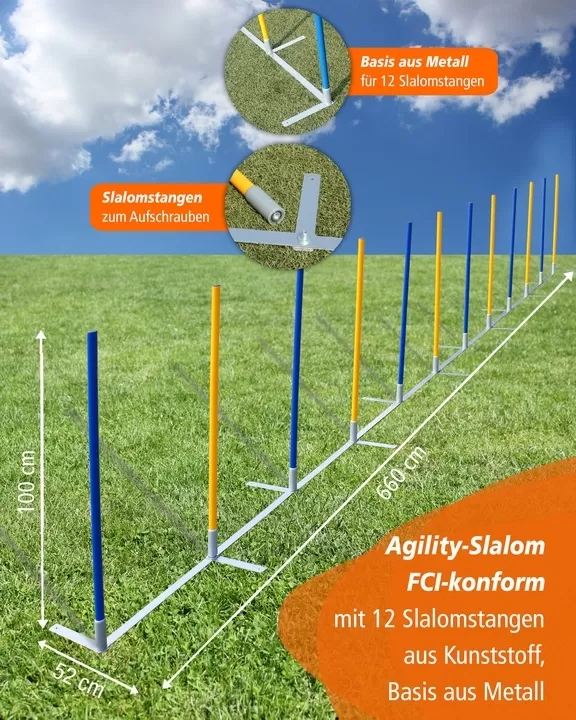 Turnier Slalom mit 12 Stangen, FCI-konform