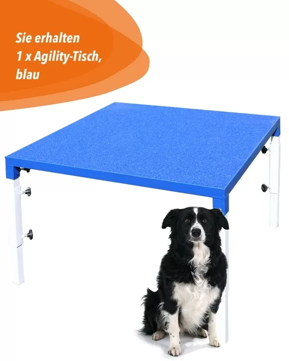 Agility-Tisch, 90 cm x 90 cm, höhenverstellbar, FCI-konform