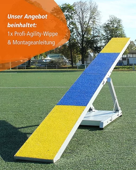 Wippe für Agilitytraining