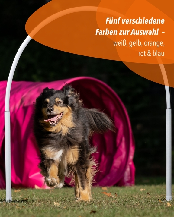 Hoops aus Kunststoff in 5 Farben