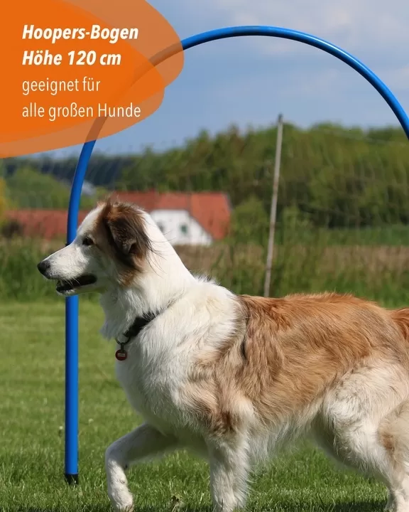 Hoops XL 120 cm high, for large dogs