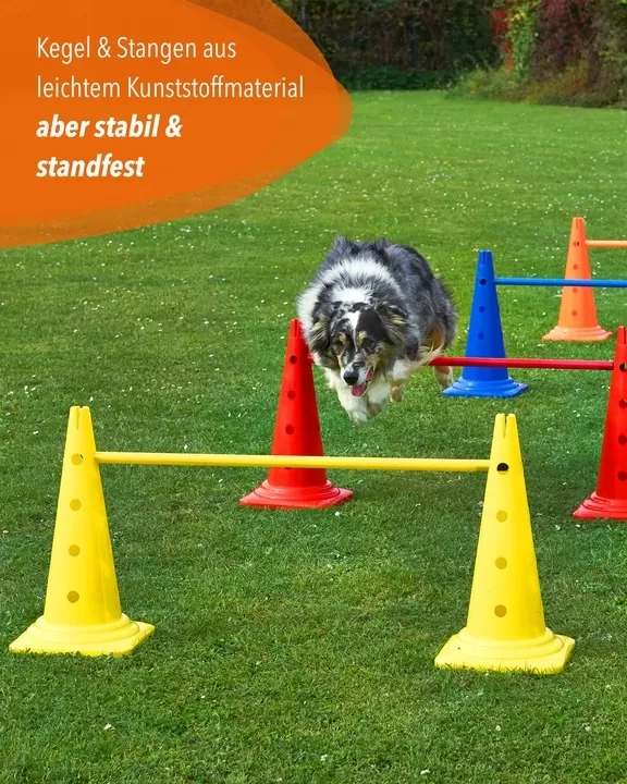 Ke­gel­hür­de 50 cm mit Stan­ge 100 cm oder 180 cm in 4 Far­ben