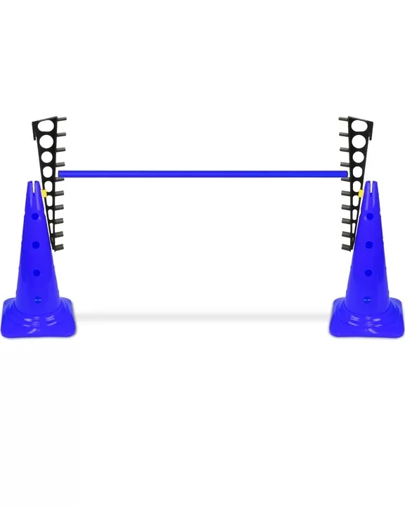 Ladder hurdle with 50 cone and 100 cm pole