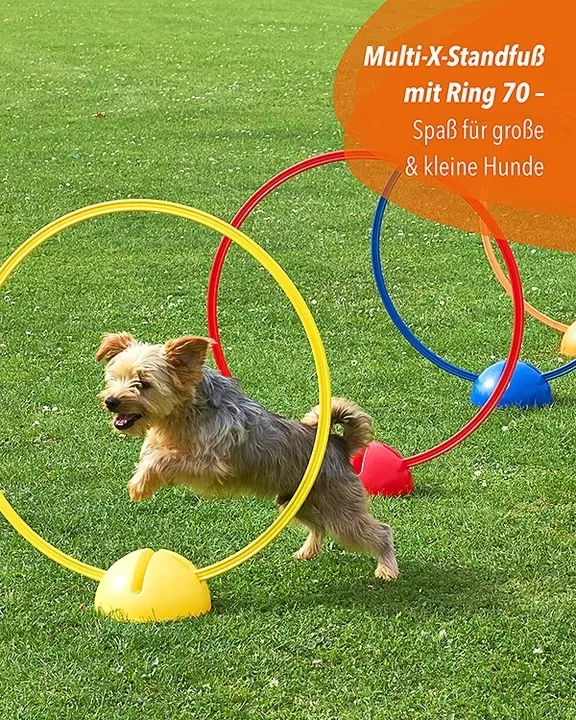 X-Fuß mit Ring 70