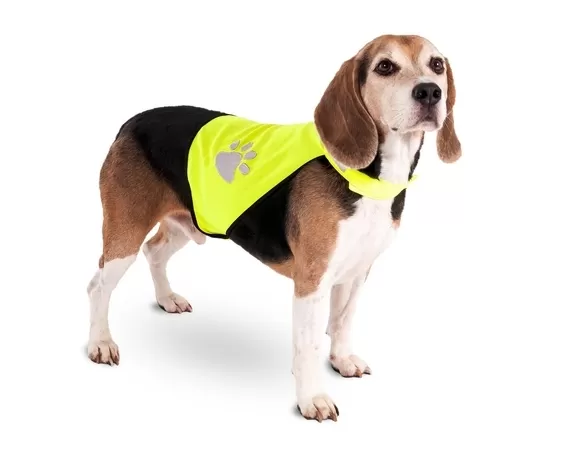 Safety vest for night walks