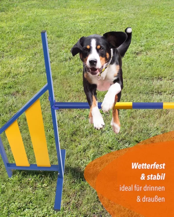 Metal agility hurdle, FCI compliant