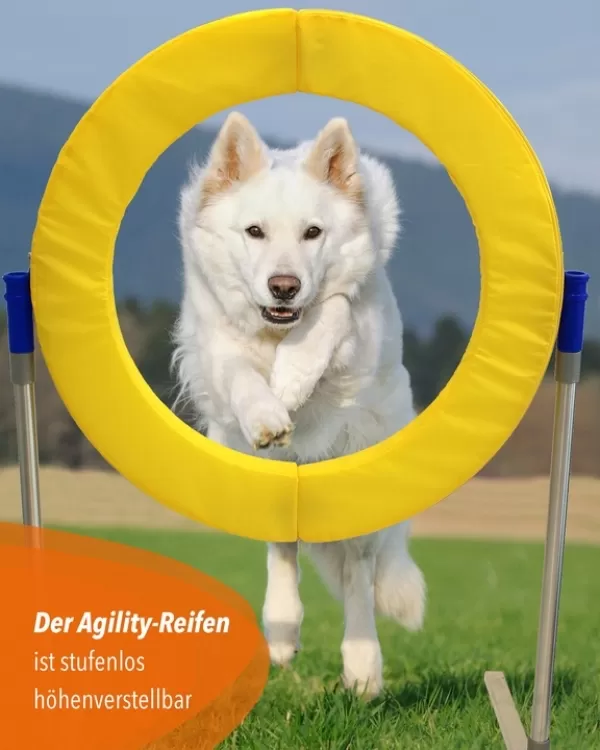 Safety Agility-Reifen, FCI-konform