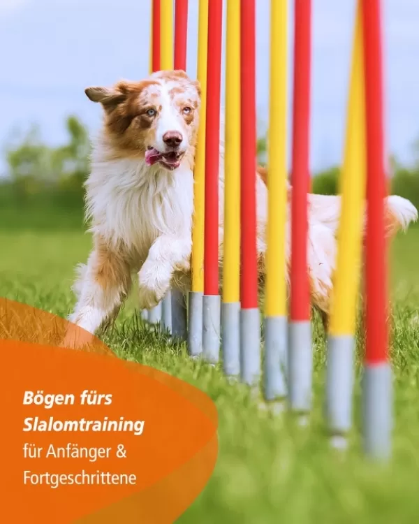 Trainingsbogen für Agility-Slalom & Stangen mit ø 32 mm, 10er Set