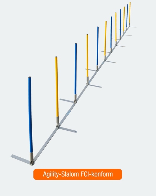 V-Slalom/Turnier Slalom mit 12 Stangen, FCI-konform