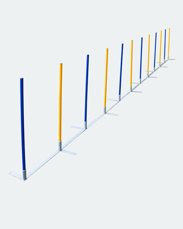 Turnier Slalom mit 12 Stangen, FCI-konform