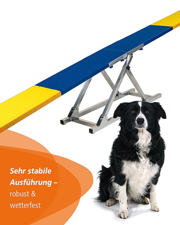 Seesaw for agility training