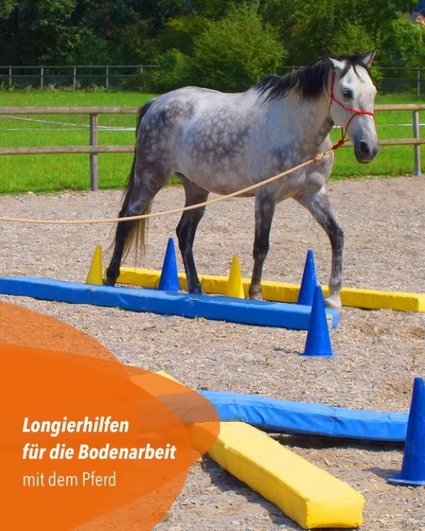 Weiche Bodenarbeitsbahnen, 2 im Set