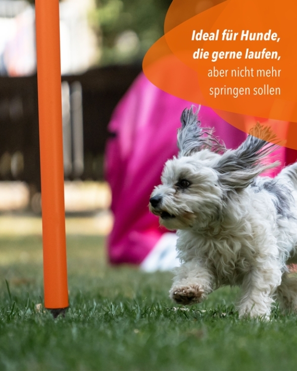 Hoops aus Kunststoff in 5 Farben