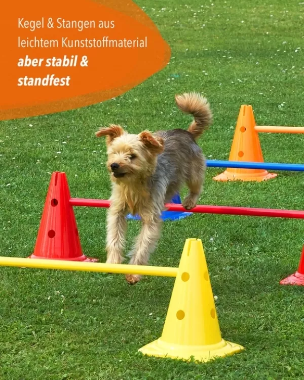 Cone hurdle 30 cm