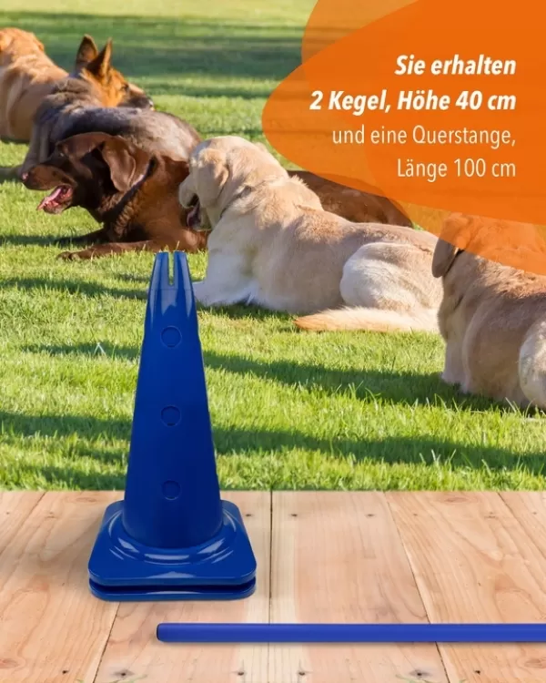 Ke­gel­hür­de 40 cm mit Stan­ge 100 cm oder 180 cm in 4 Far­ben