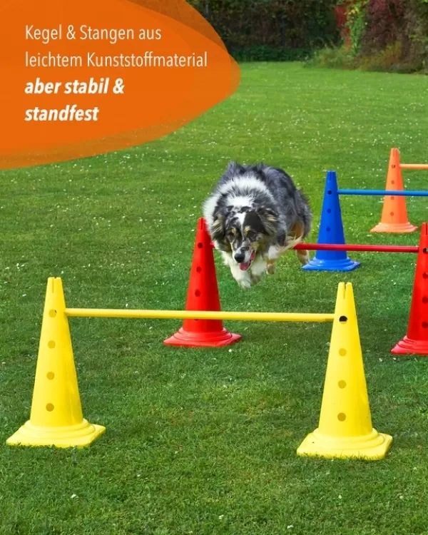 Ke­gel­hür­de 50 cm mit Stan­ge 100 cm oder 180 cm in 4 Far­ben