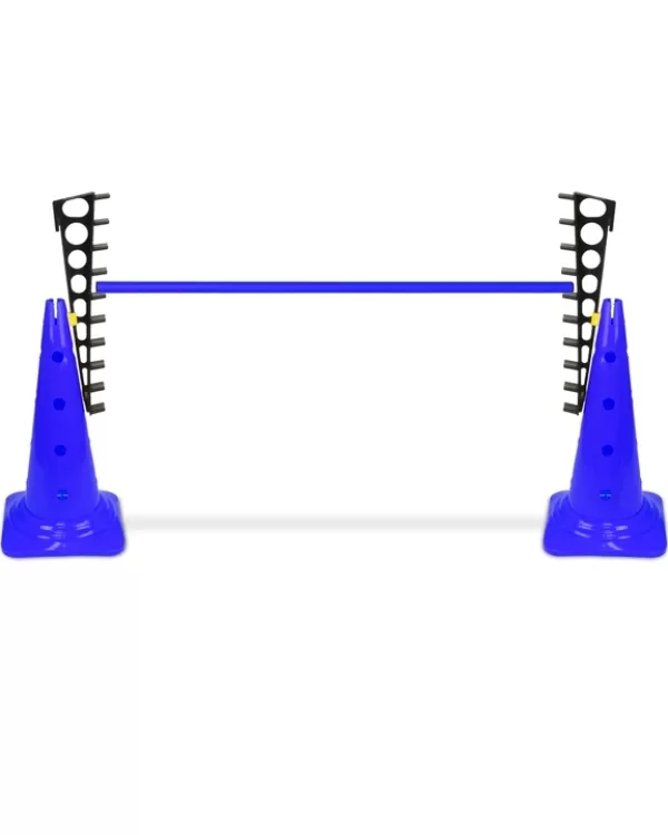 Ladder hurdle with 50 cone and 100 cm pole