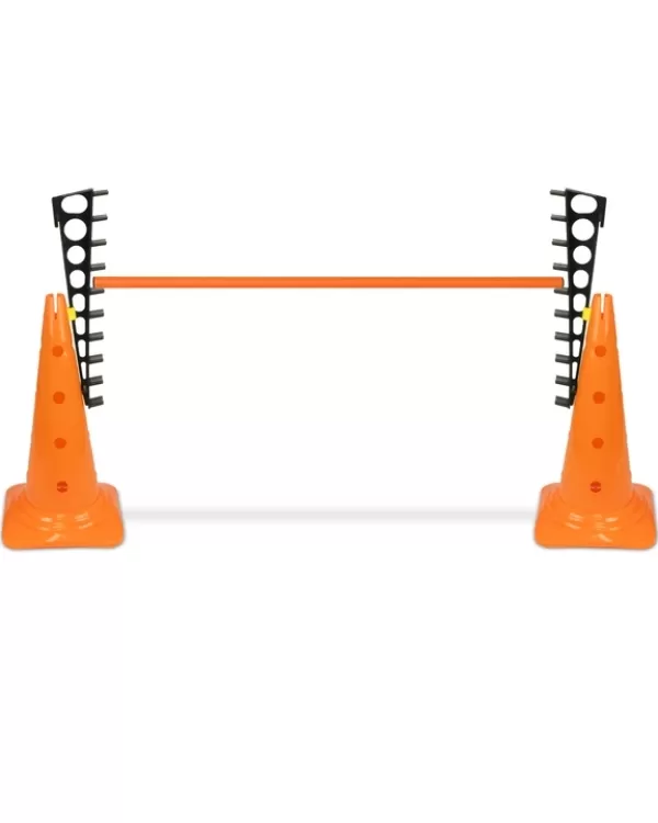 Ladder hurdle with 50 cone and 100 cm pole