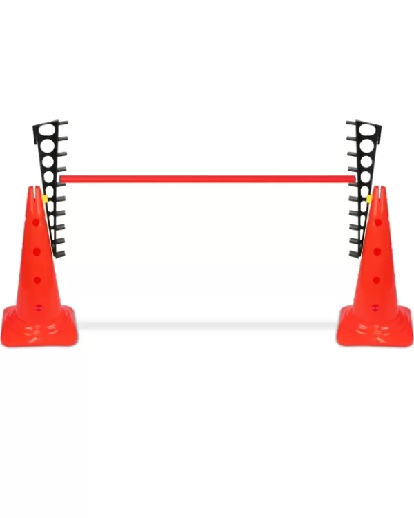 Ladder hurdle with 50 cone and 100 cm pole