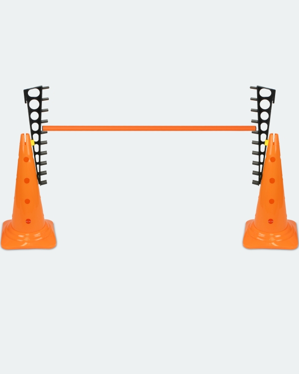 Leiterhürde mit Kegel 50 und Stange 100 cm, in 4 Farben
