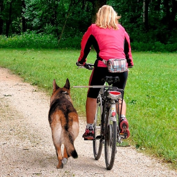 Bicycle freewheel leash Walky Dog