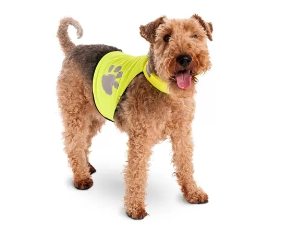 Safety vest for night walks