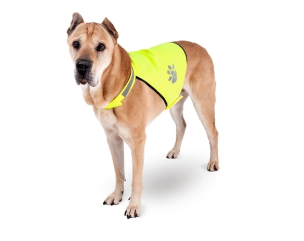 Safety vest for night walks