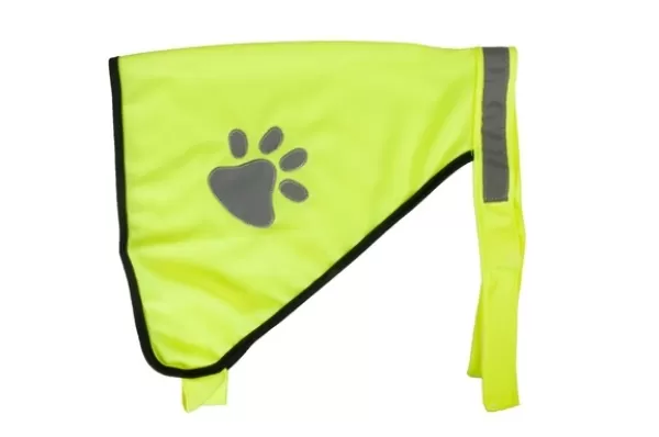 Safety vest for night walks