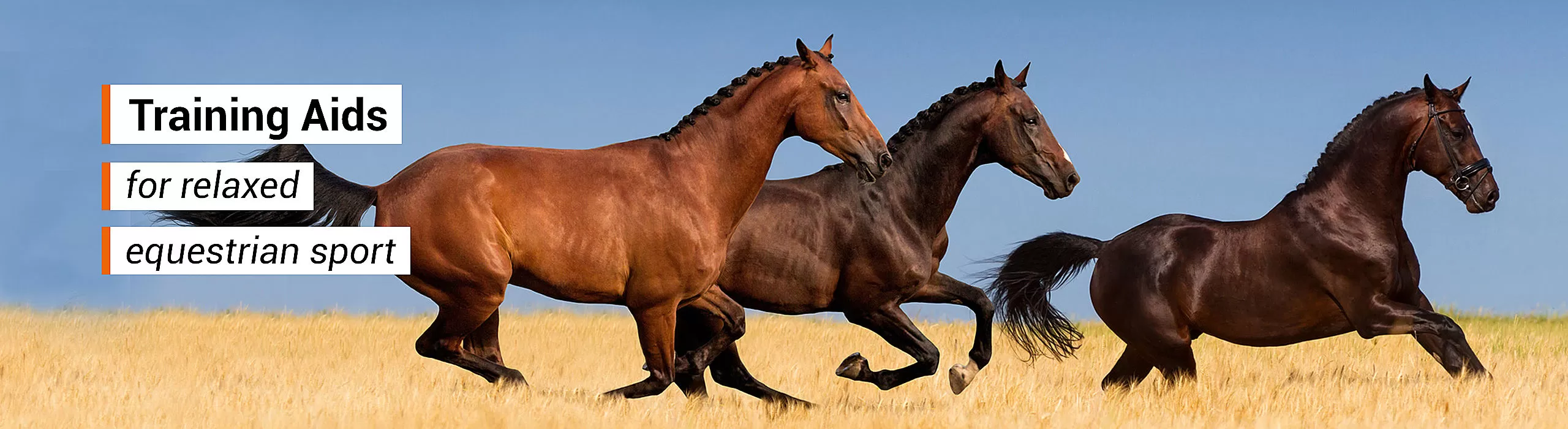 Equestrian Sport