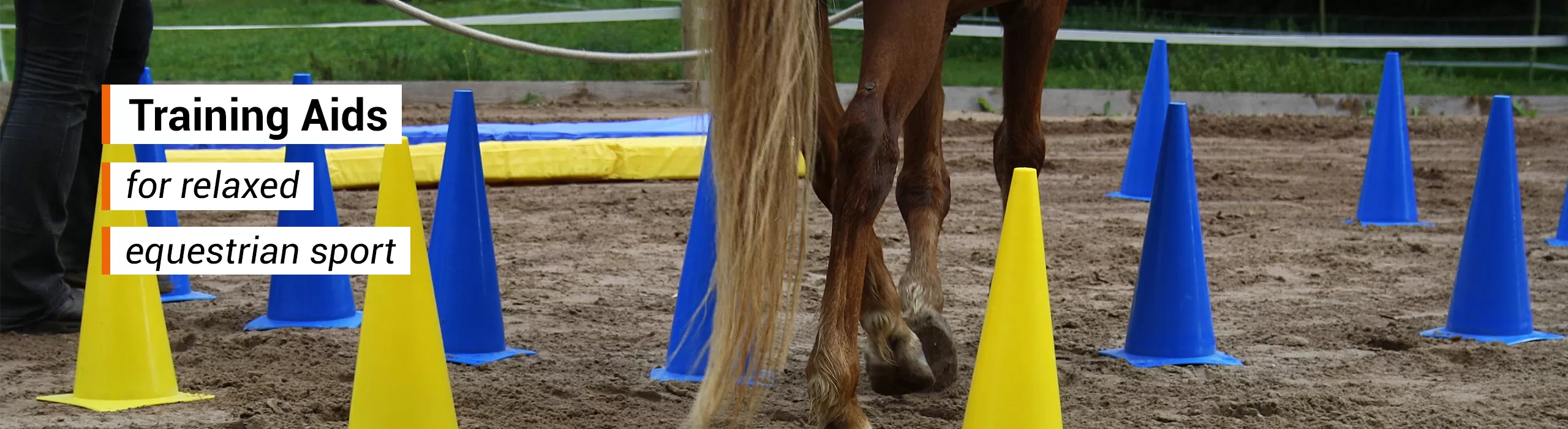 Horses Equipment