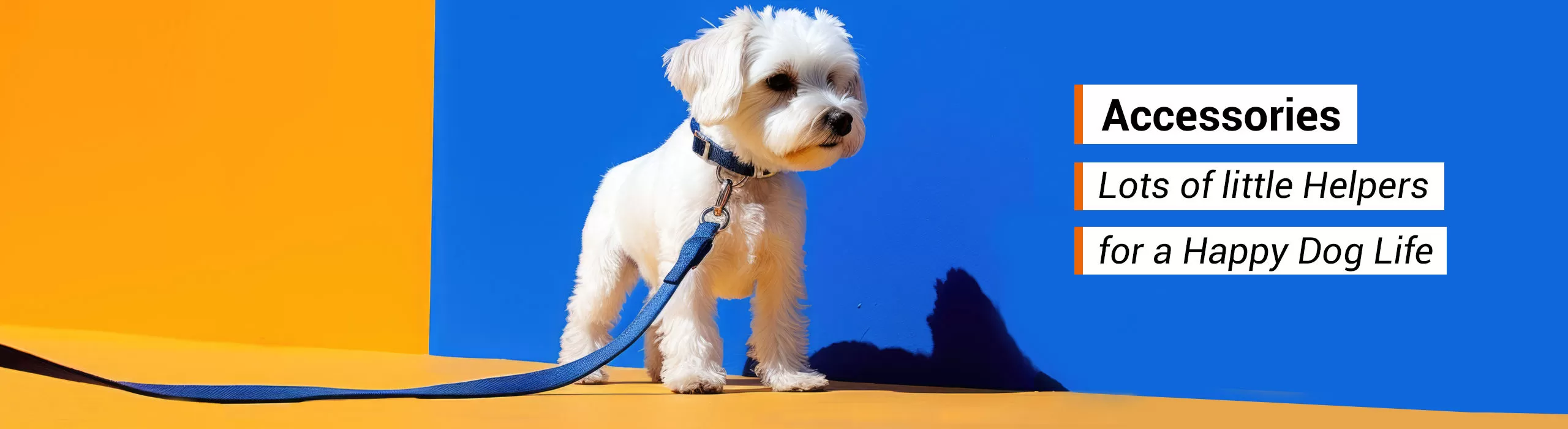 Dog Accessories
